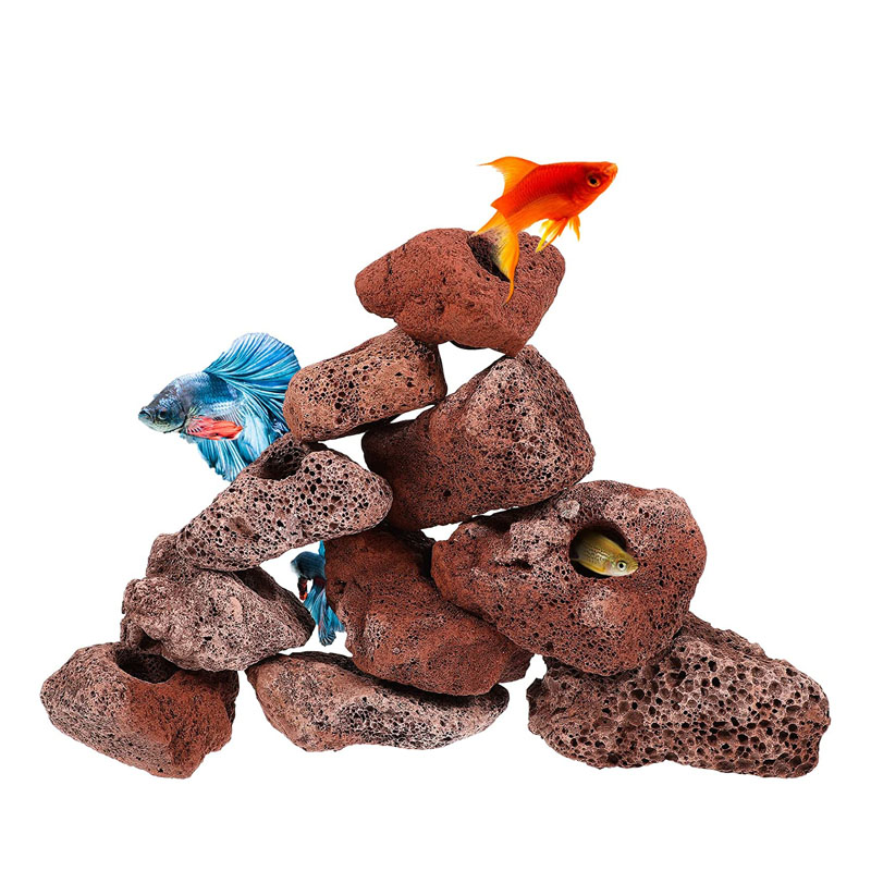 Planted Aquarium With Rocks - Abri pour poissons et crevettes à