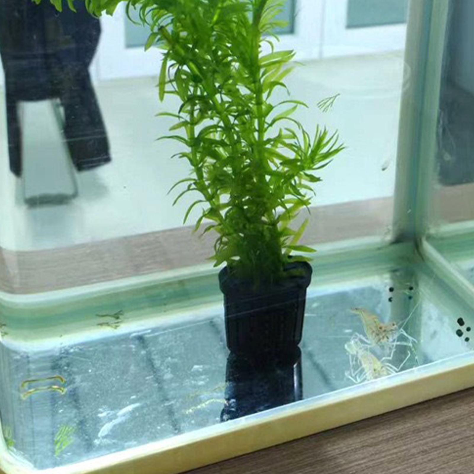 Aquarium Planted Background - Ensemble de 4 paniers hydroponiques pour