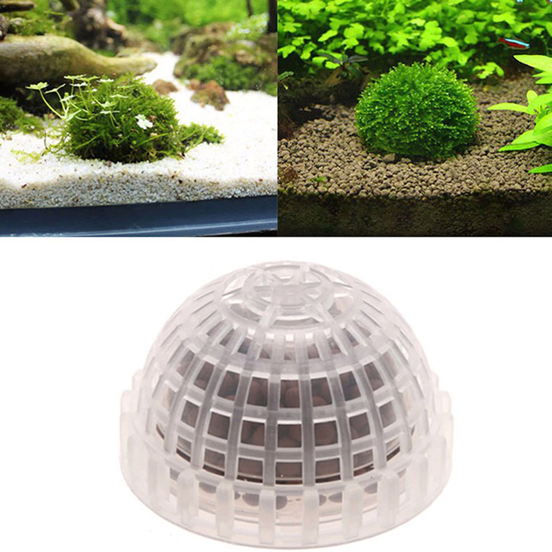 Planted Aquarium Models - Fournitures aquatiques pour animaux de compagnie,
