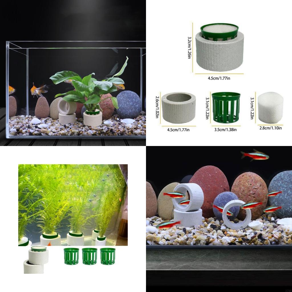 Aquarium Planted Background - 37ME – ensemble d'anneaux fixes pour