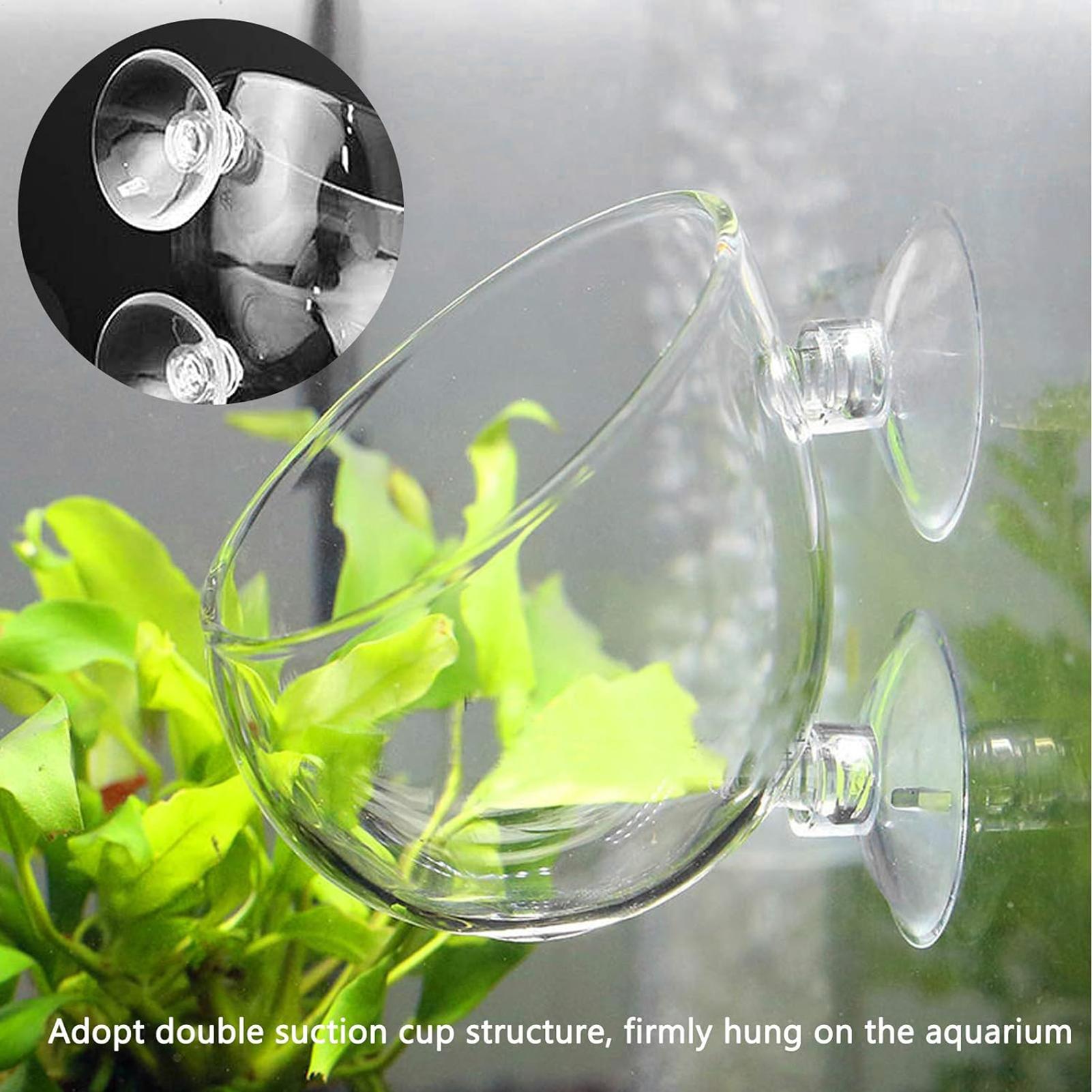 Aquarium Plant Gel - Pot de plantes en verre pour