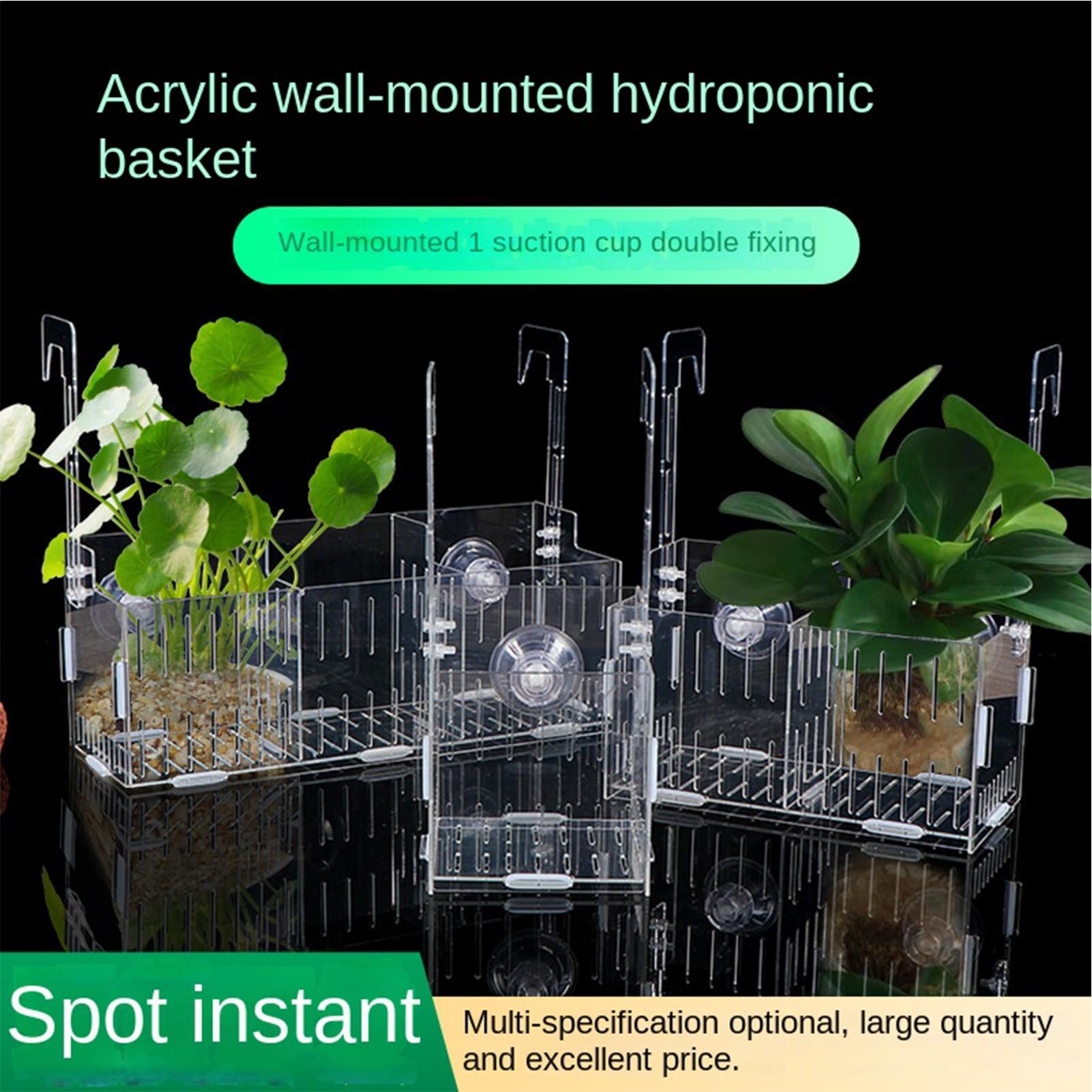 Aquarium Plant Vine - Support de Plantes d'Aquarium en Acrylique,