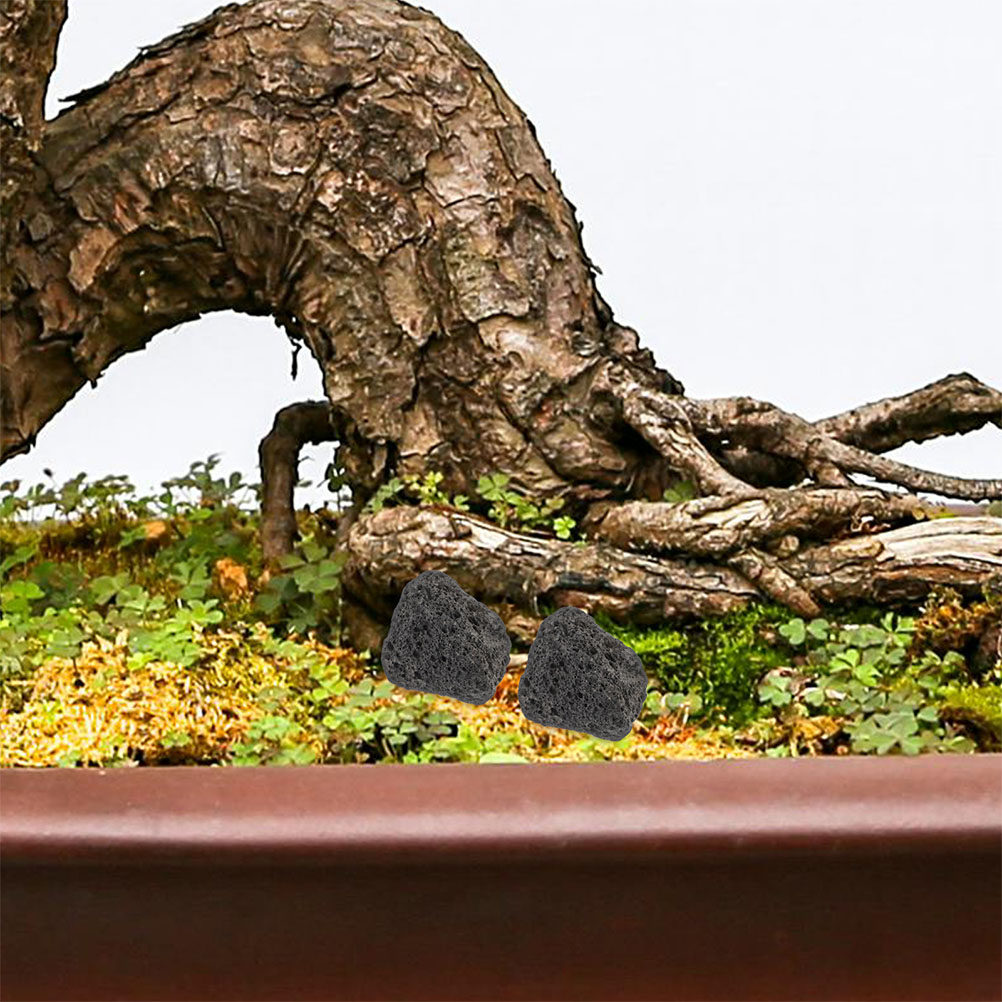Planted Aquarium With Rocks - Pierres volcaniques naturelles pour aquarium, petites