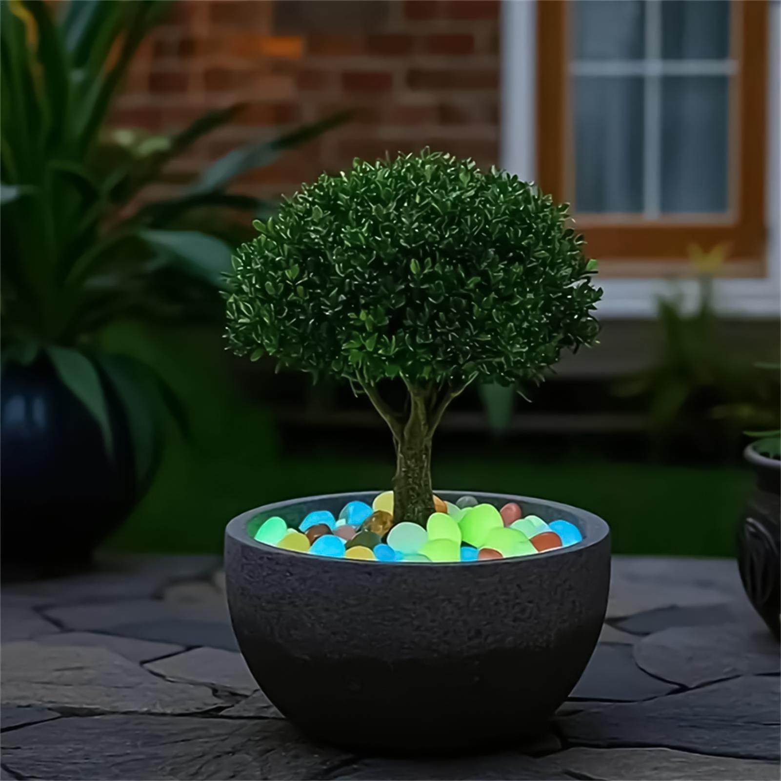 Planted Aquarium With Rocks - Pierres de paysagisme, 20 pièces, 1,8