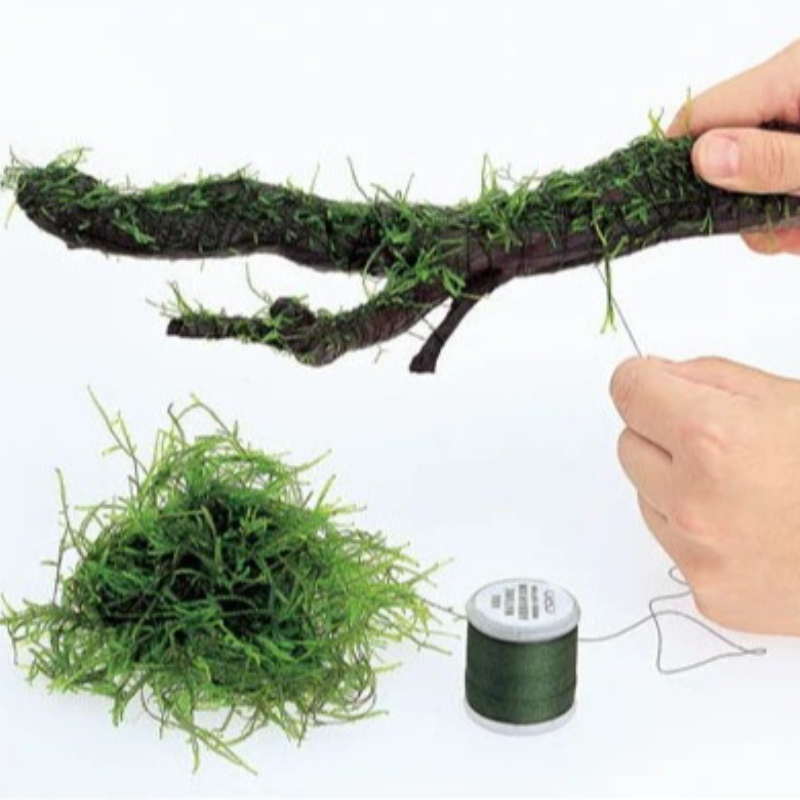 Planted Aquarium With Rocks - Fil de mousse biodégradable pour aquarium