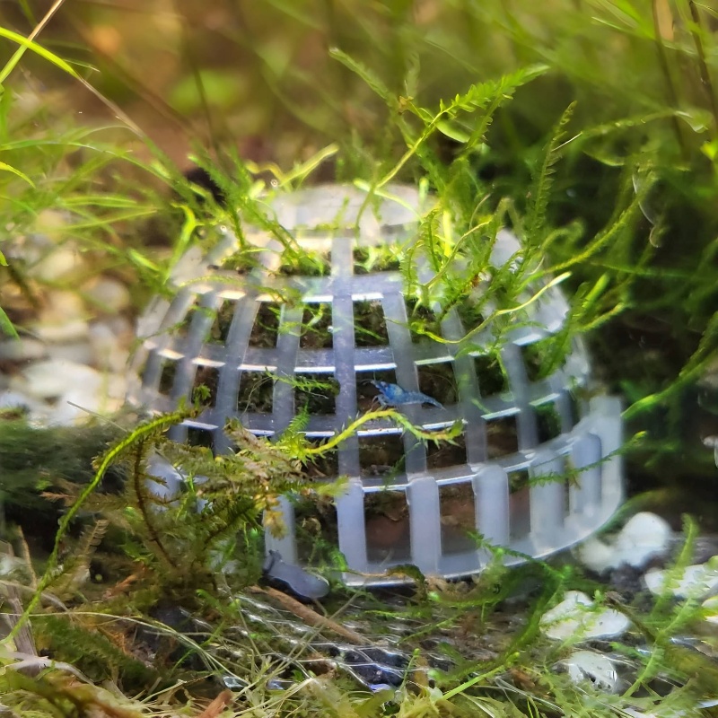 Planted Aquarium Models - Support de boule de mousse d'aquarium,