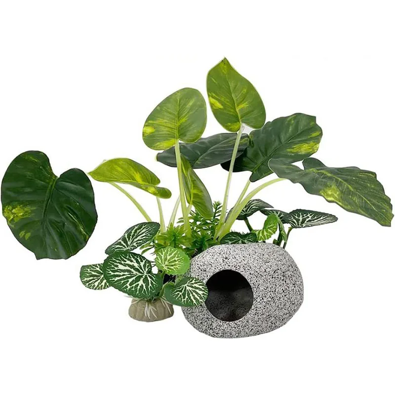 Aquarium Planted Background - Petite herbe sous-marine pour Aquarium, Simulation