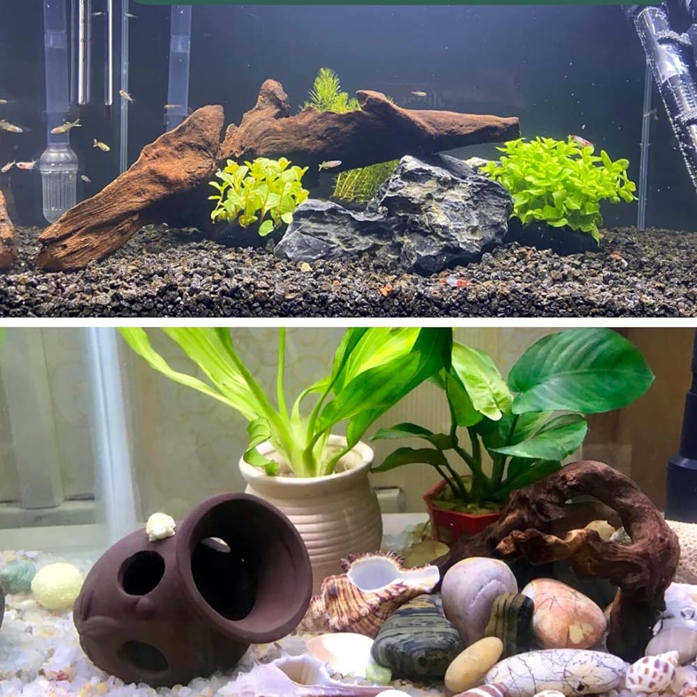 3 pièces ﻿ Ensemble de bois fl - Aquarium Planted Wood avis et prix