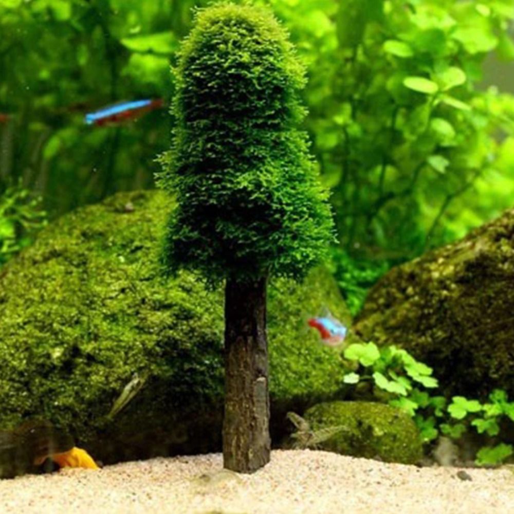Décoration d'aquarium en forme - Aquarium Planted Background avis et prix