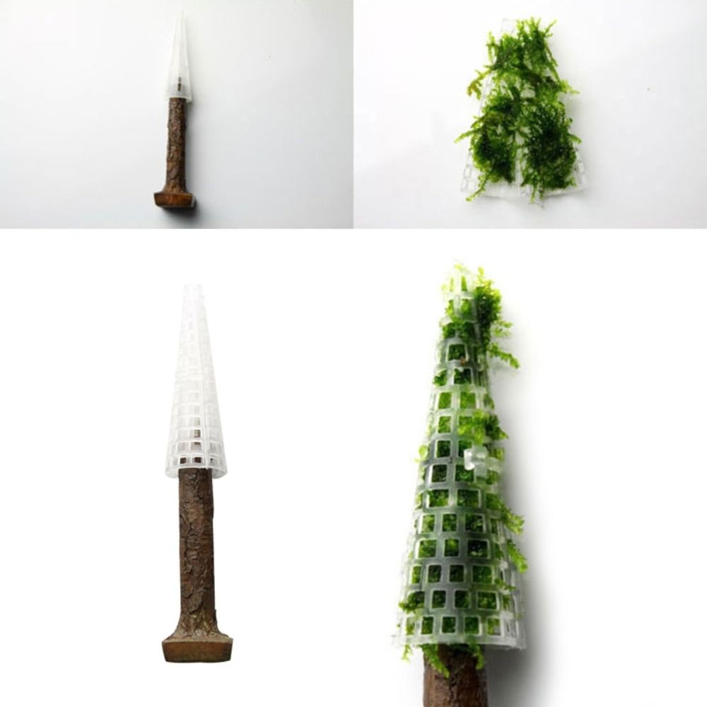 Décoration d'aquarium en forme - Aquarium Planted Background avis et prix