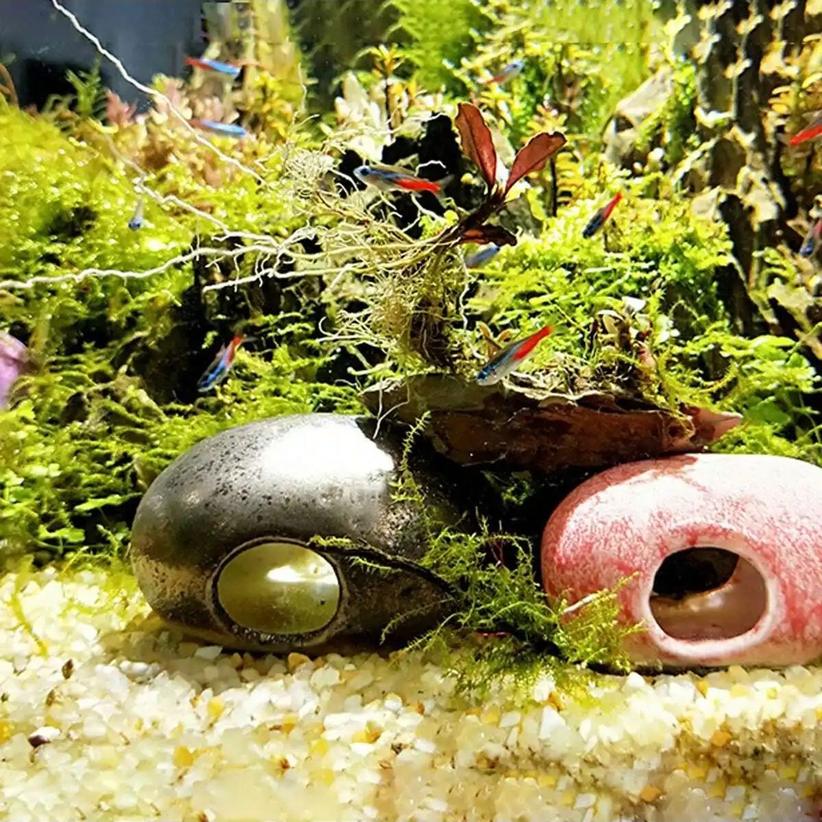 Pierre de gravier en cristaux  - Aquarium Planted Soil avis et prix
