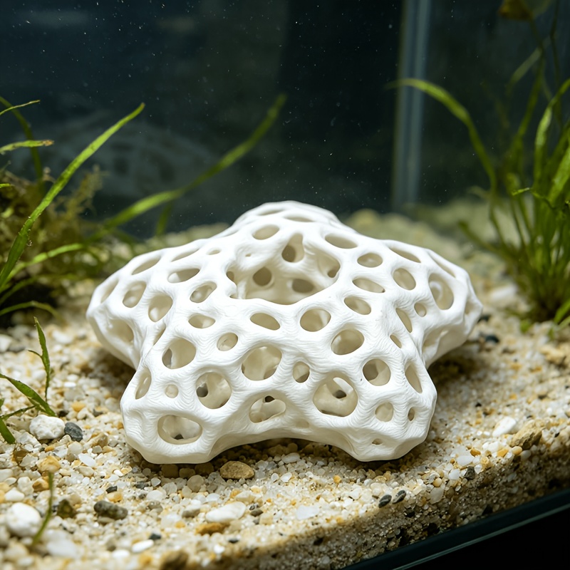 Décoration d'aquarium étoile à - Planted Aquarium Without Fish avis et prix