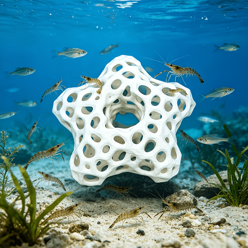Décoration d'aquarium étoile à - Planted Aquarium Without Fish avis et prix