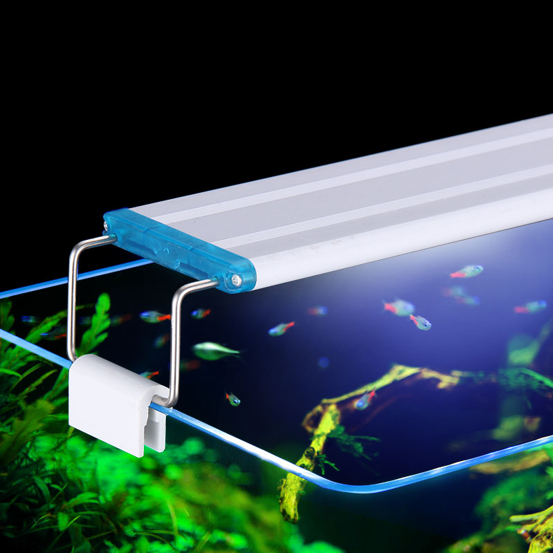 Extensible Étanche Clip sur La - Aquarium Plant Display avis et prix
