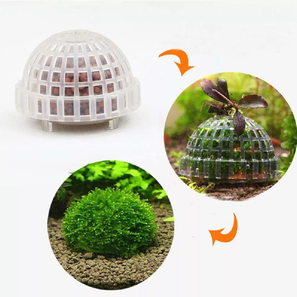 Porte-boule de mousse d'aquari - Planted Aquarium Models avis et prix