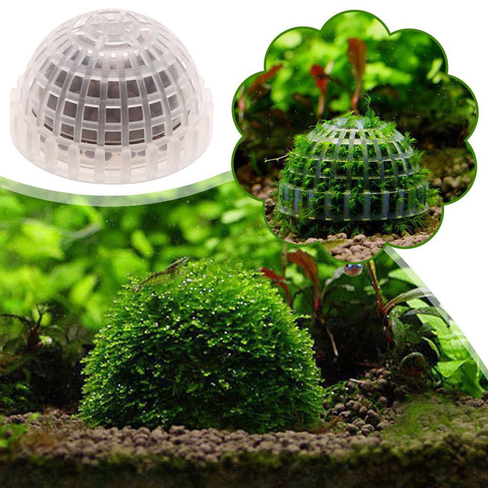 Porte-boule de mousse d'aquari - Planted Aquarium Models avis et prix