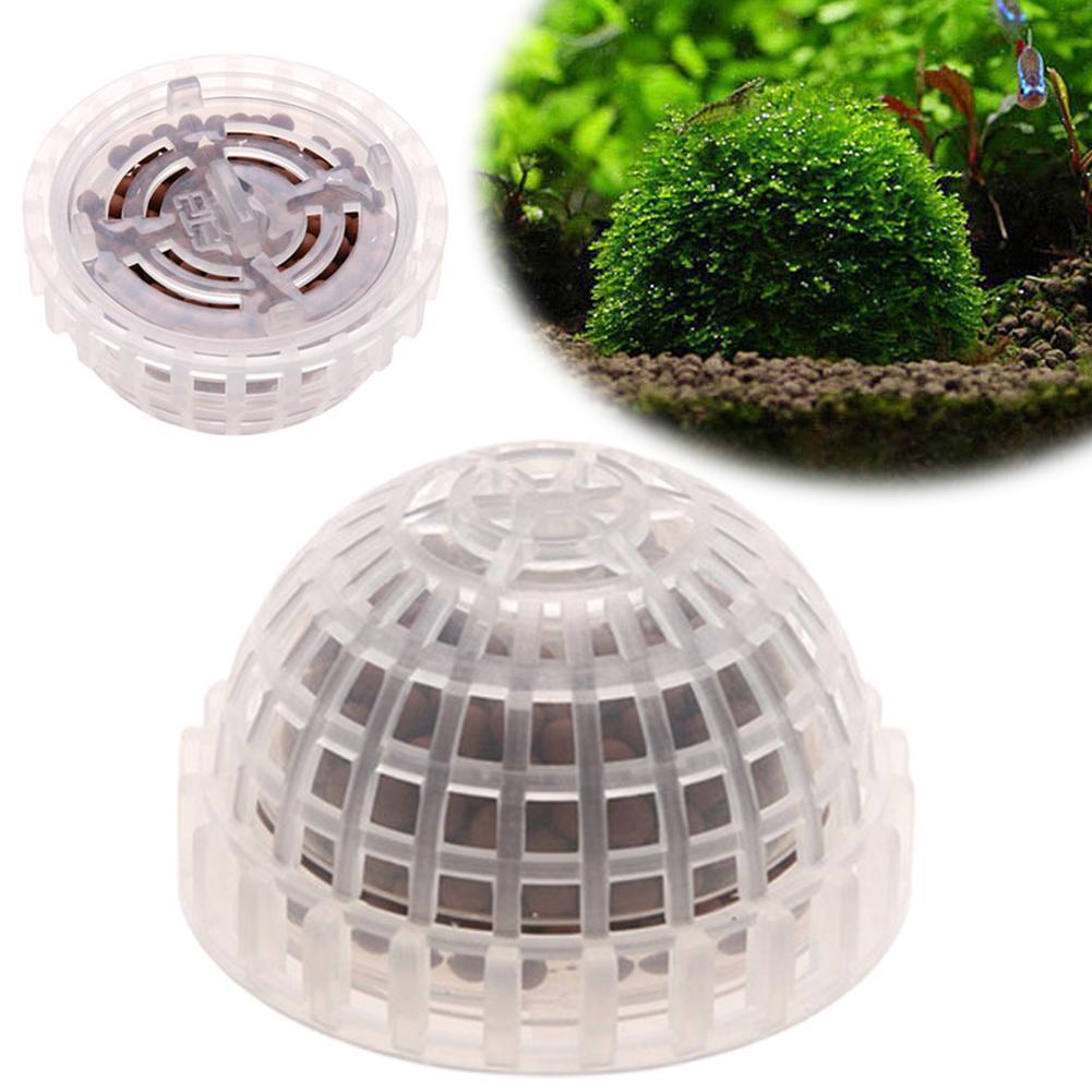 Porte-boule de mousse d'aquari - Planted Aquarium Models avis et prix
