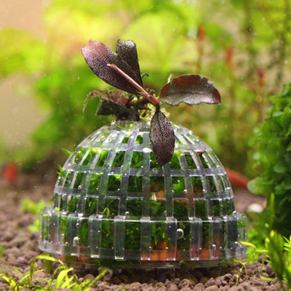 Porte-boule de mousse d'aquari - Planted Aquarium Models avis et prix