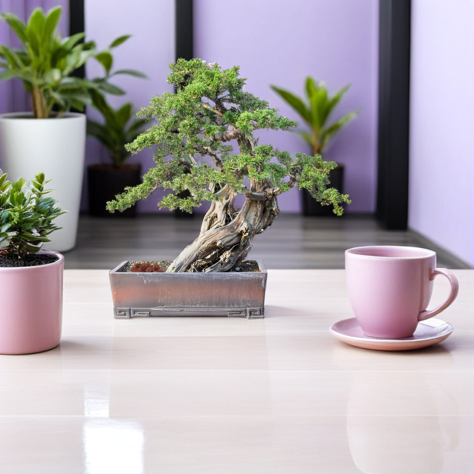 Lot de 1 grande pierre volcani - Aquarium Planted Soil avis et prix