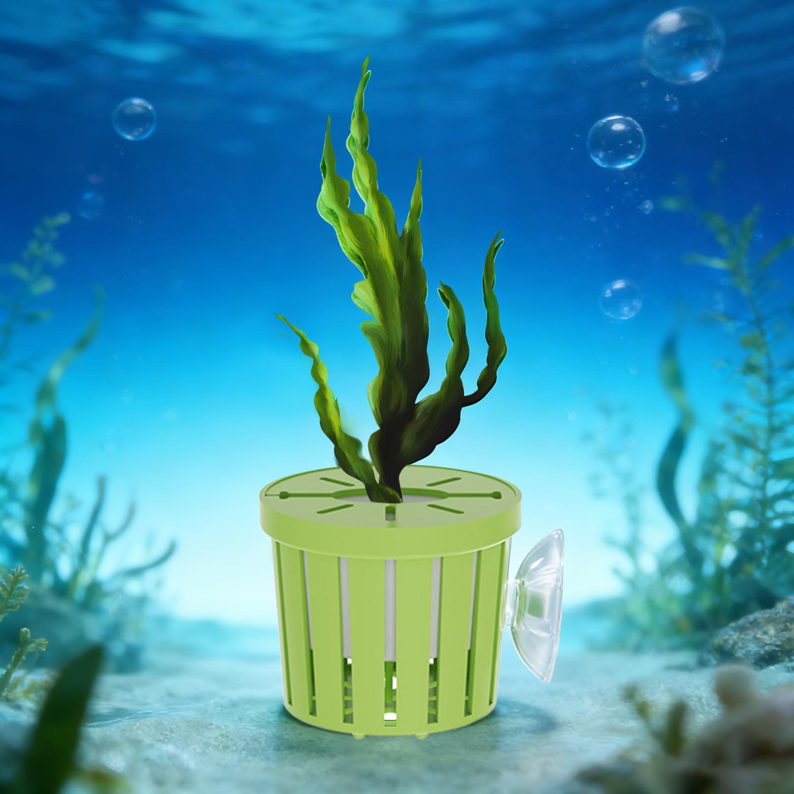 Ensemble de 4 paniers hydropon - Aquarium Planted Background avis et prix