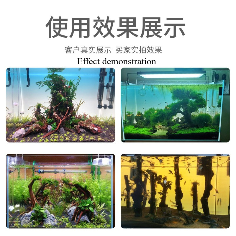 Panneau de fond d'aquarium LED - Aquarium Planted Background avis et prix