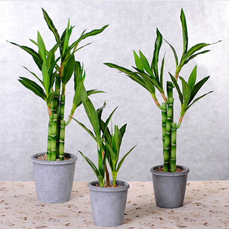 Nouveau 40cm rFtificial chance - Aquarium Plant Display avis et prix
