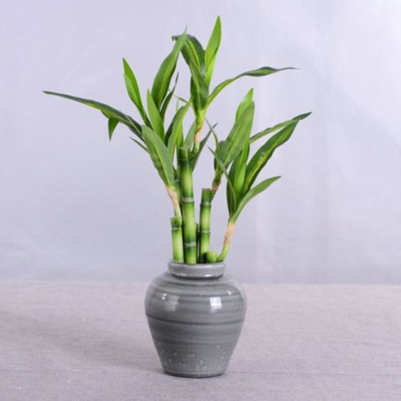 Nouveau 40cm rFtificial chance - Aquarium Plant Display avis et prix