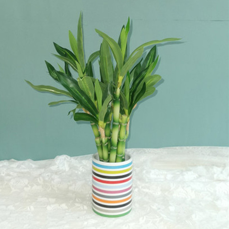 Nouveau 40cm rFtificial chance - Aquarium Plant Display avis et prix