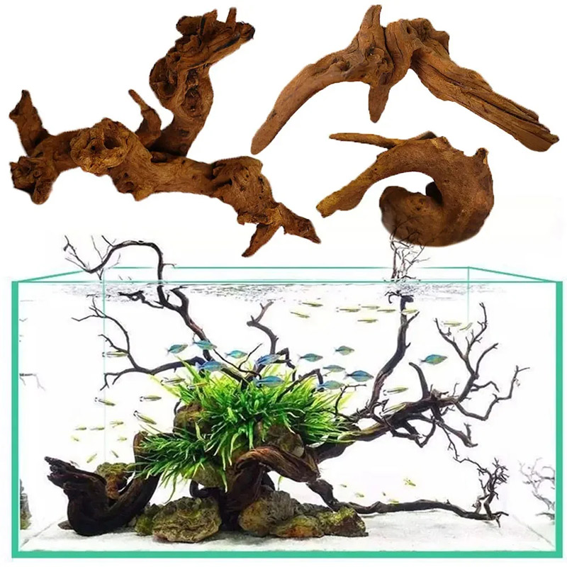 Décoration d'aquarium très dem - Aquarium Planted Soil avis et prix