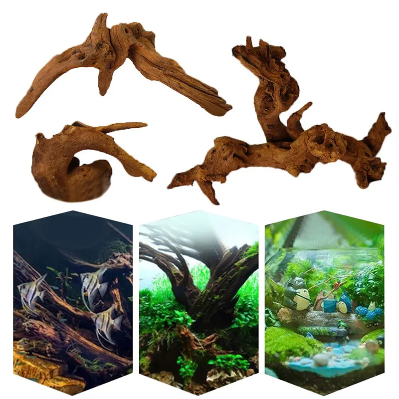 Décoration d'aquarium très dem - Aquarium Planted Soil avis et prix