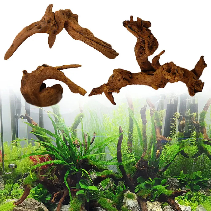 Décoration d'aquarium très dem - Aquarium Planted Soil avis et prix