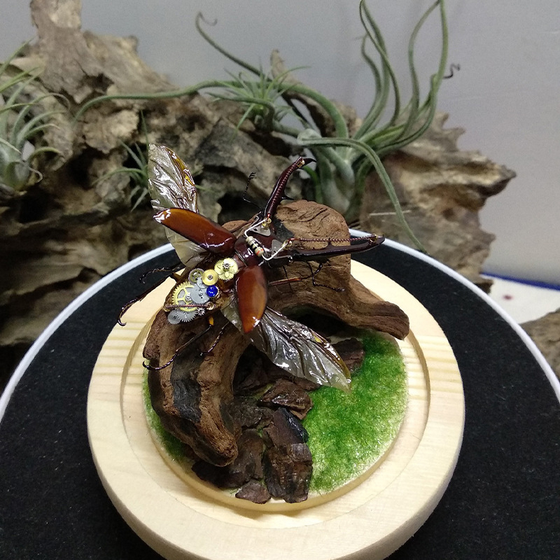 Décoration d'aquarium très dem - Aquarium Planted Soil avis et prix