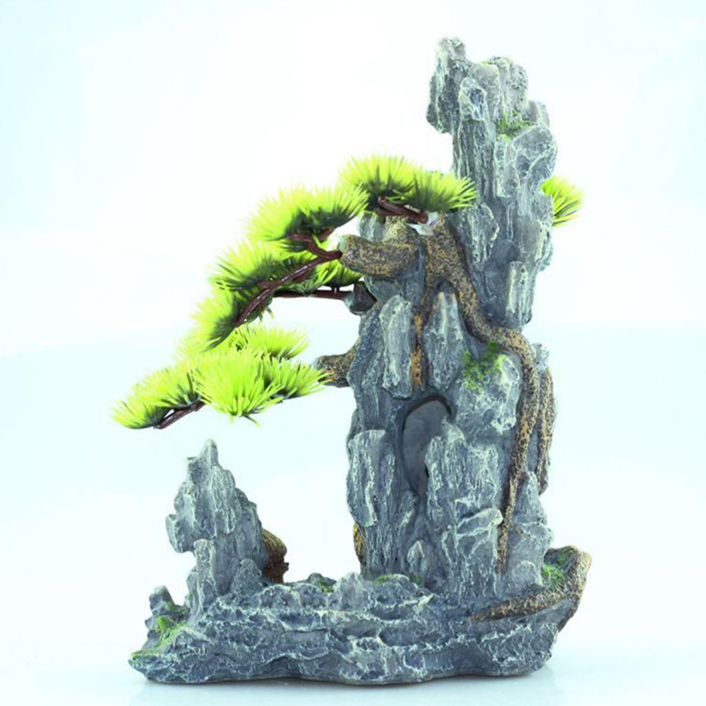 Grotte d'arbre, grotte de Rept - Aquarium Planted Wood avis et prix
