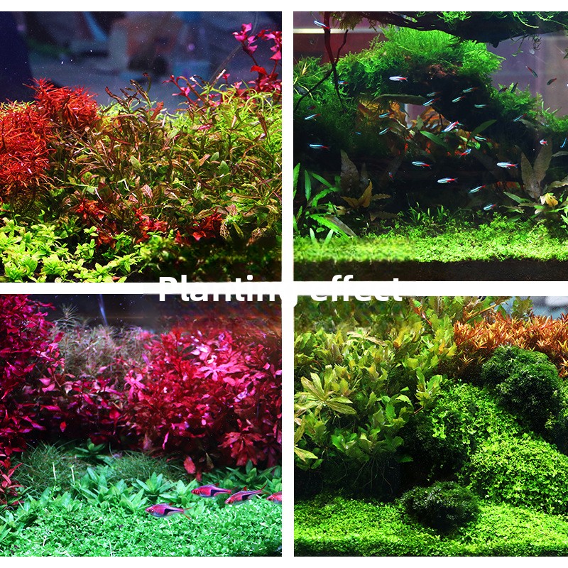 SYSENCIAGA – substrat d'aquari - Aquarium Planted Soil avis et prix