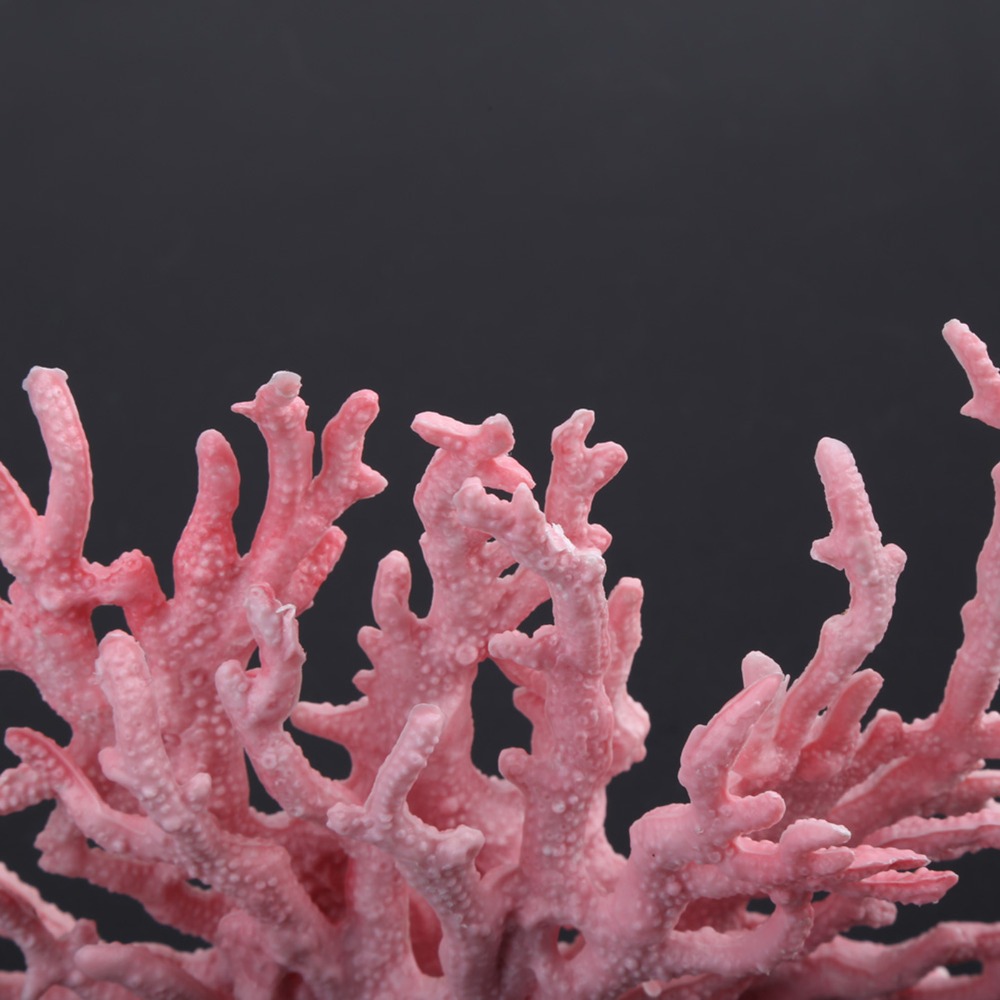 Accessoires de décoration, cor - Aquarium Planted Background avis et prix