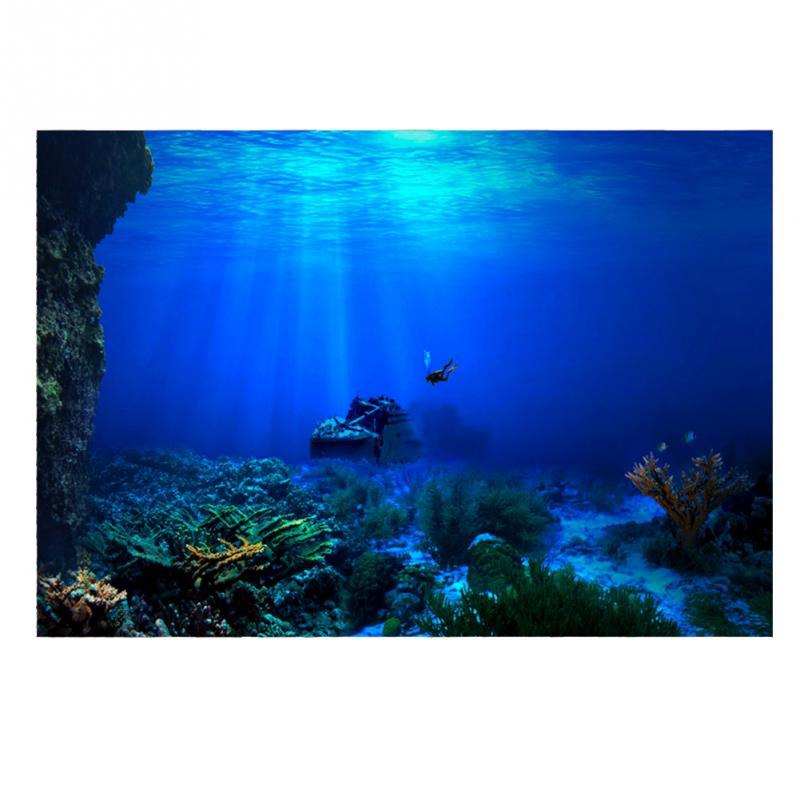 Peinture décorative de fond d' - Aquarium Planted Background avis et prix