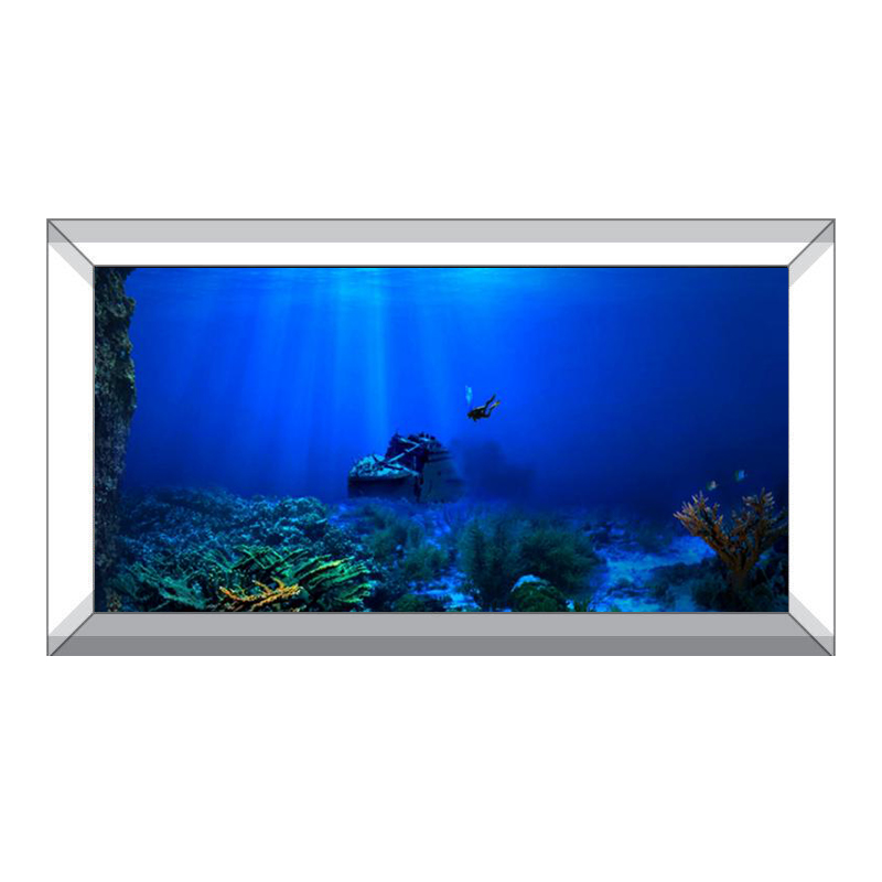 Peinture décorative de fond de - Aquarium Planted Background avis et prix