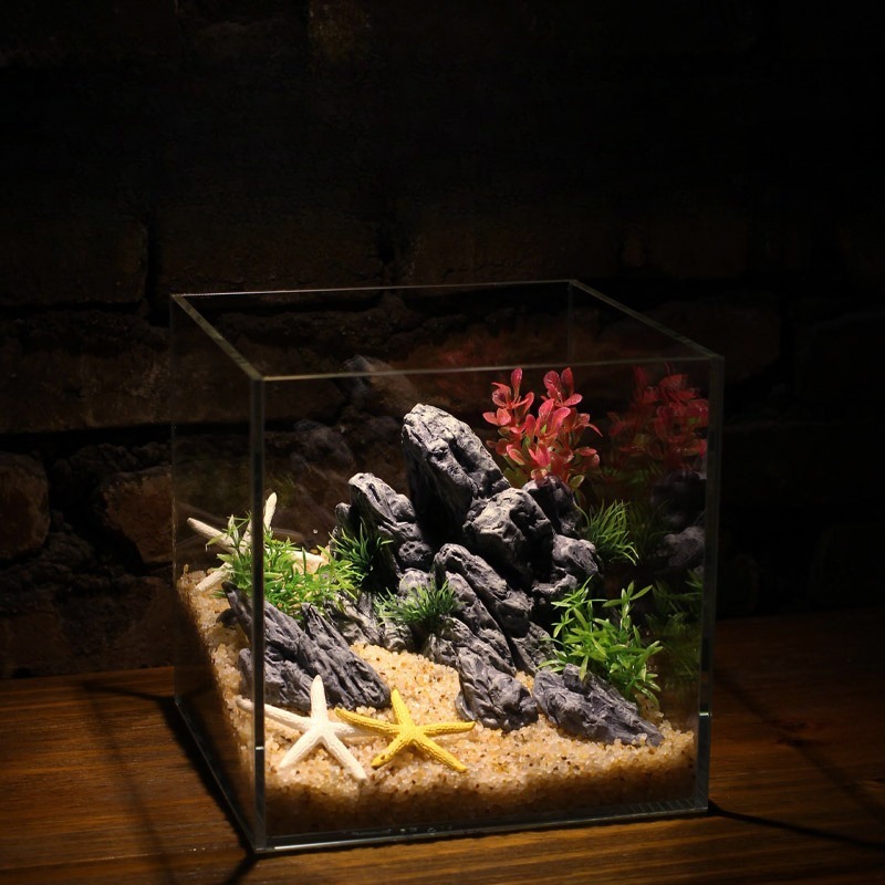 Décoration d'aquarium : Roche  - Aquarium Planted Background avis et prix