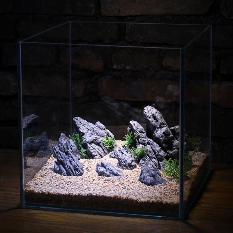 Décoration d'aquarium : Roche  - Aquarium Planted Background avis et prix