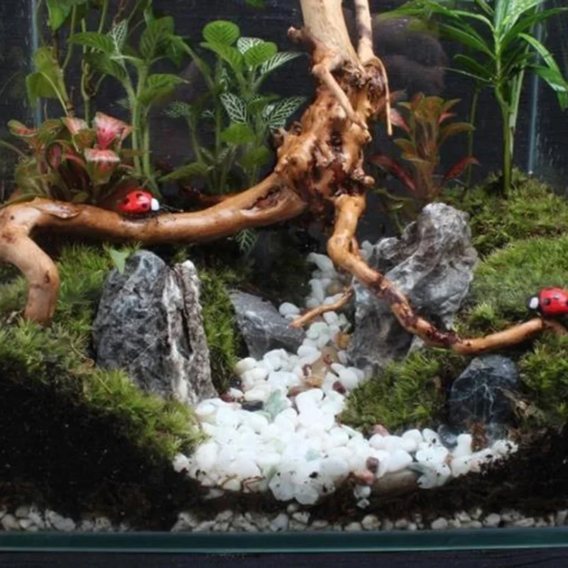 Décoration d'aquarium en bois  - Aquarium Planted Soil avis et prix