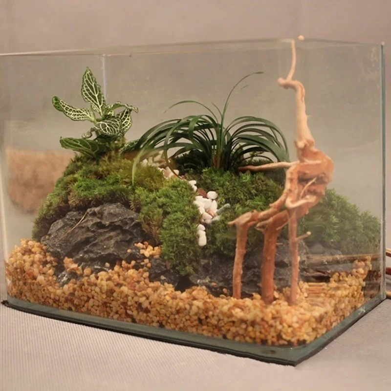 Décoration d'aquarium en bois  - Aquarium Planted Soil avis et prix