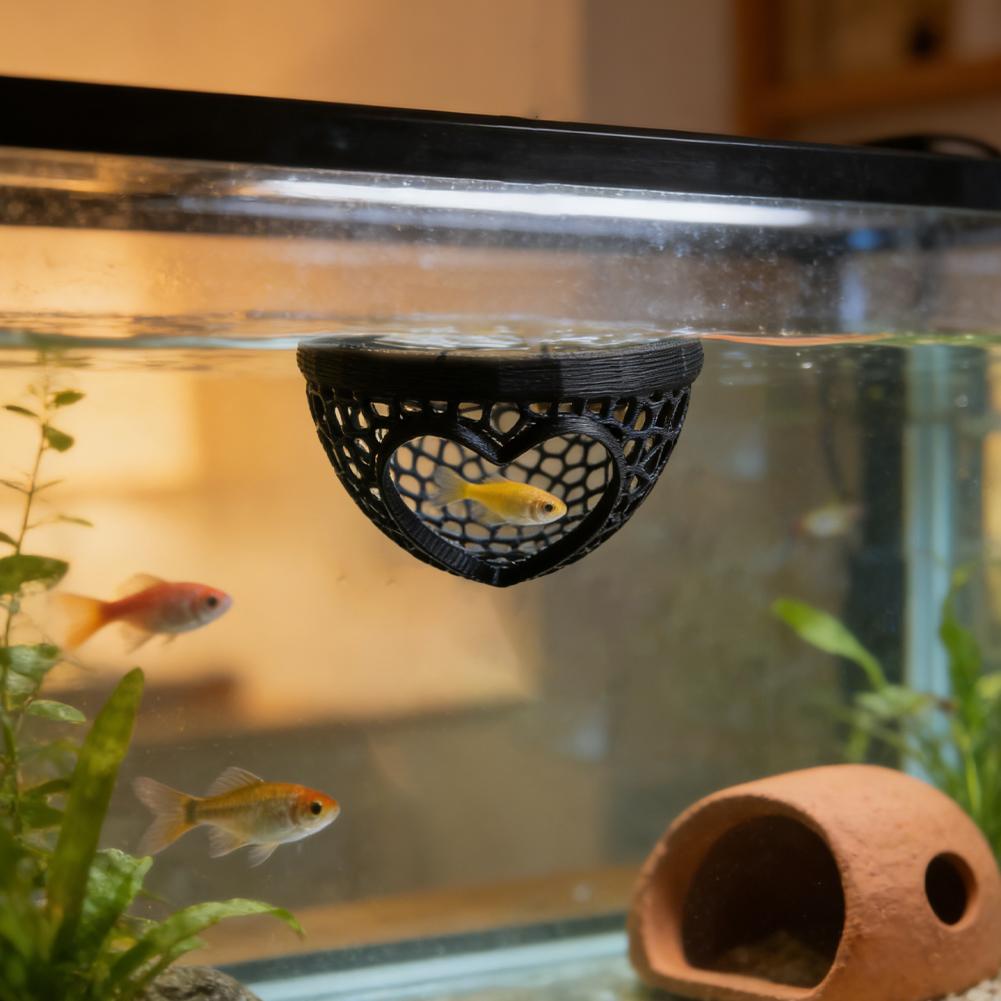 Caverne cachette en forme de c - Planted Aquarium Without Fish avis et prix