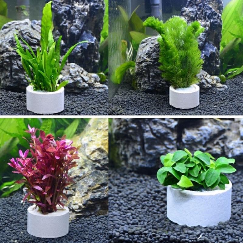 37ME – ensemble d'anneaux fixe - Aquarium Planted Background avis et prix