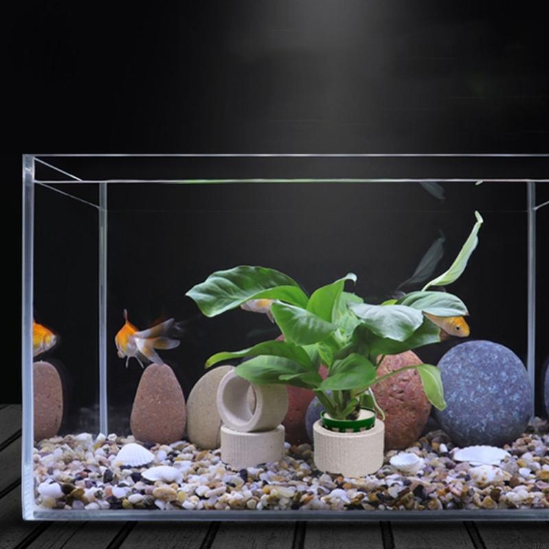 37ME – ensemble d'anneaux fixe - Aquarium Planted Background avis et prix