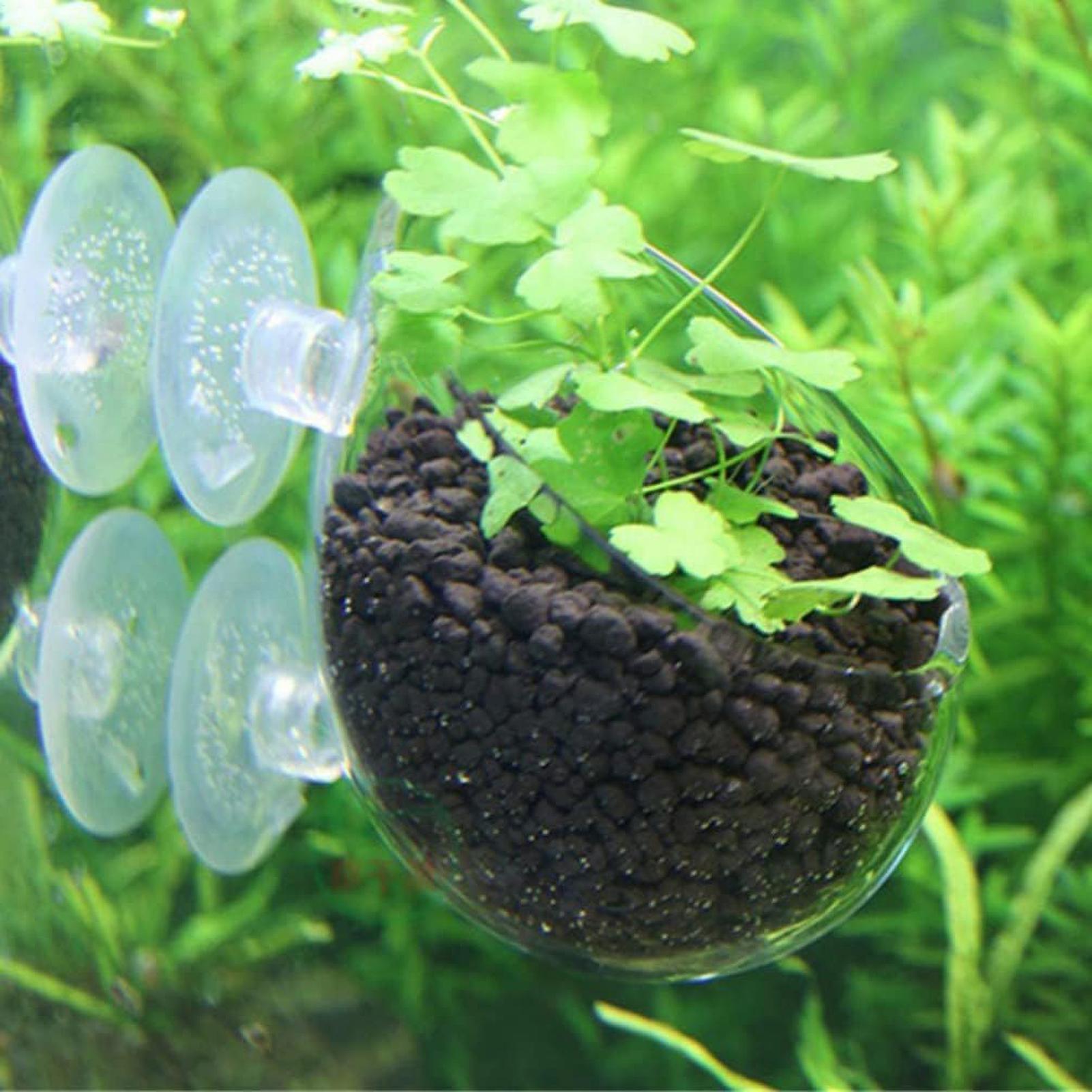 Pot de plantes en verre pour a - Aquarium Plant Gel avis et prix