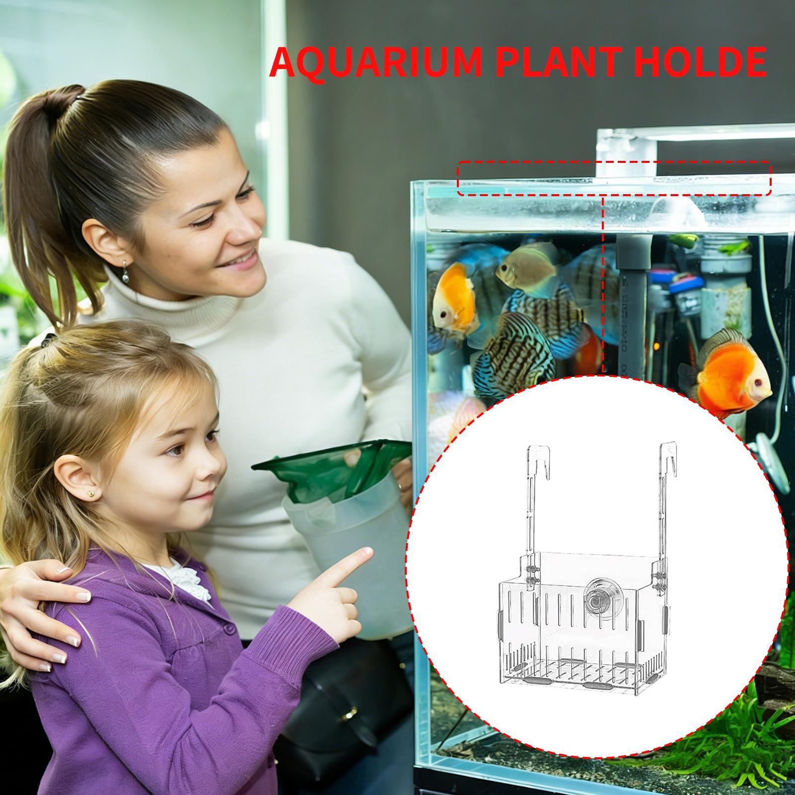 Support de Plantes d'Aquarium  - Aquarium Plant Vine avis et prix