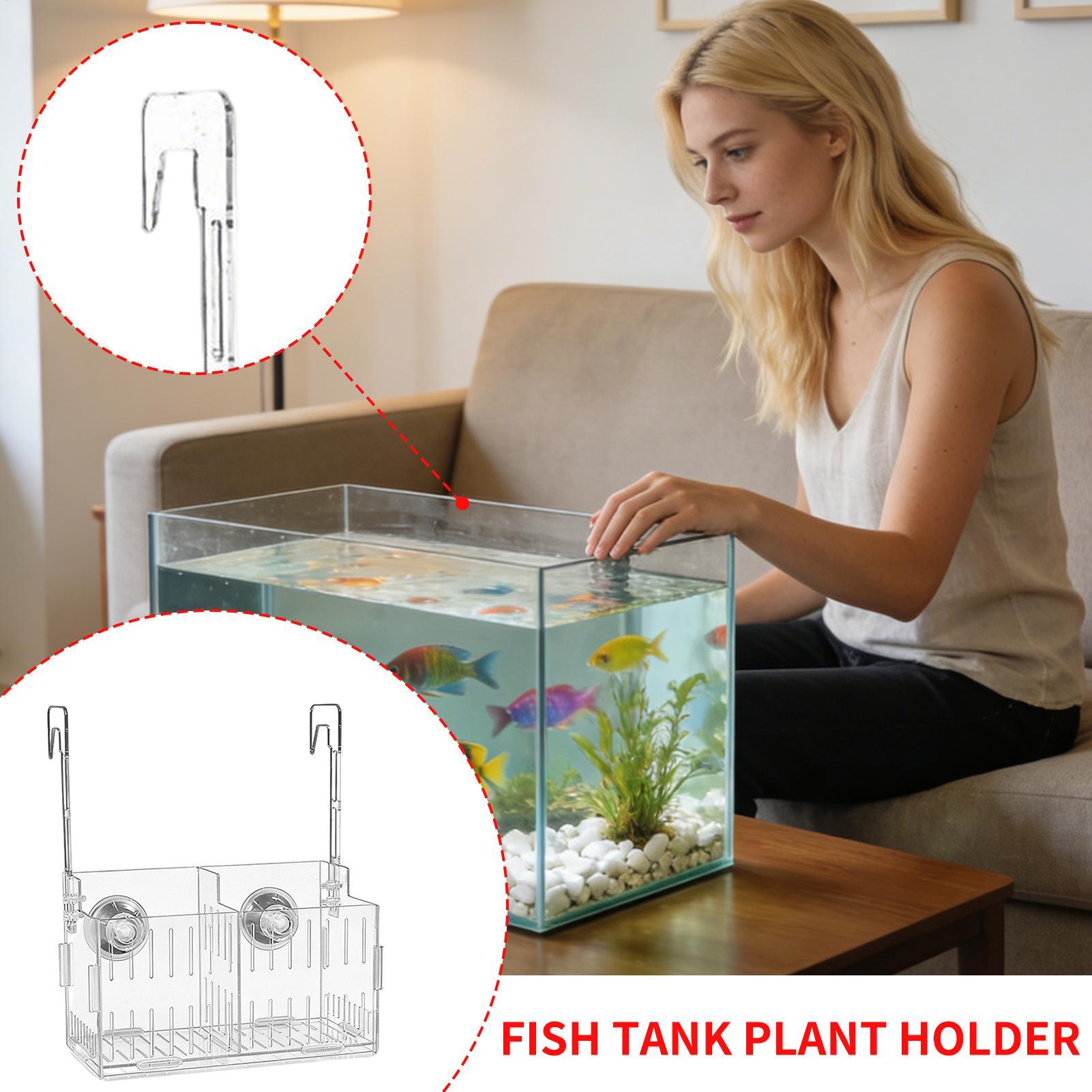 Support de Plantes d'Aquarium  - Aquarium Plant Vine avis et prix