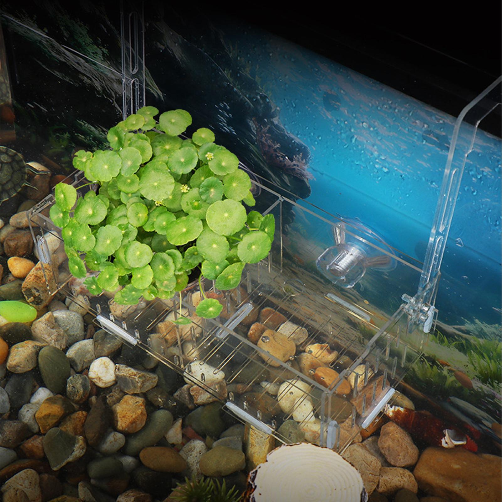 Support de Plantes d'Aquarium  - Aquarium Plant Vine avis et prix