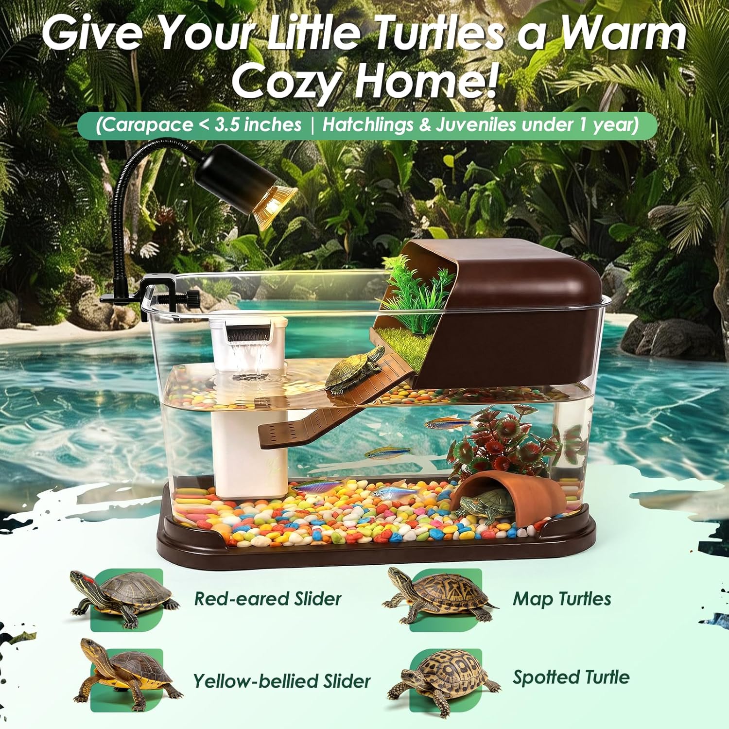 Kit de démarrage pour aquarium - Planted Aquarium Starter Kit avis et prix