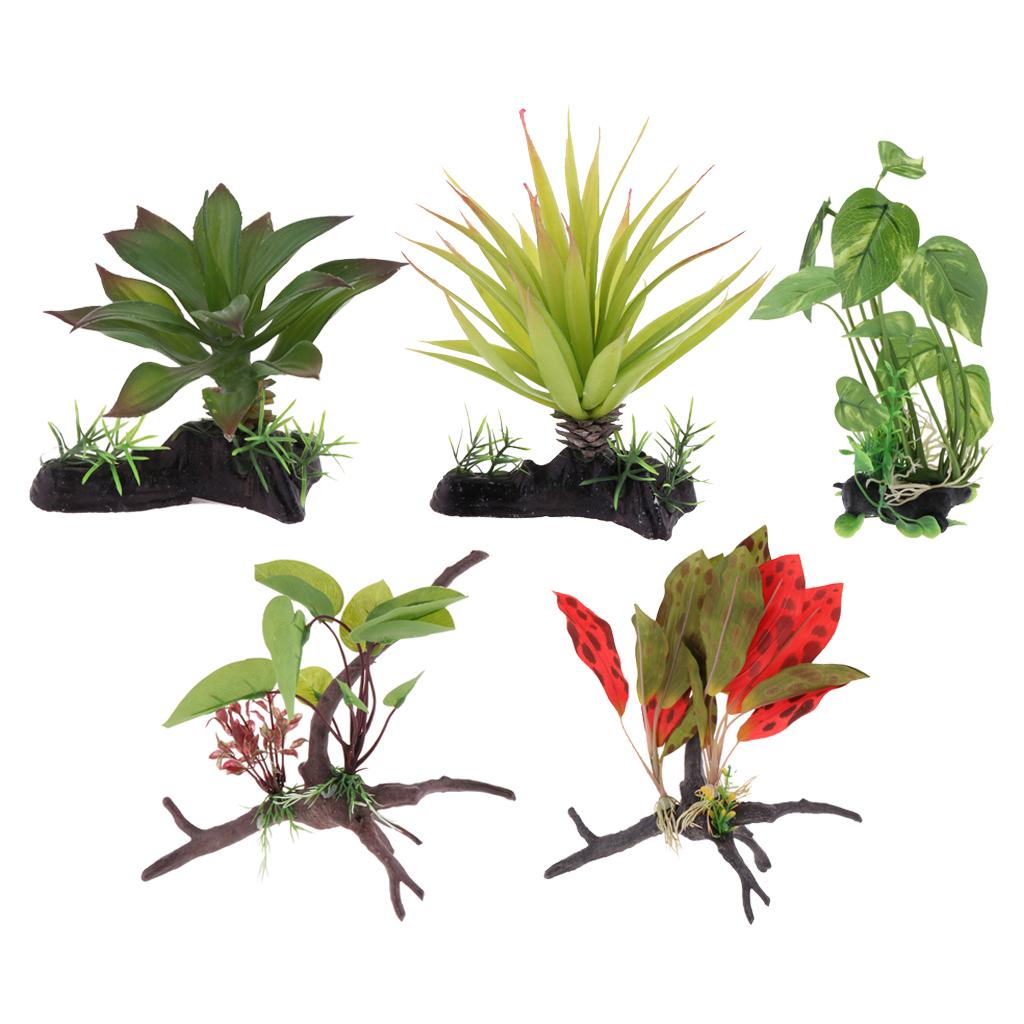 Plante de Terrarium de Reptile - Aquarium Plant Vine avis et prix